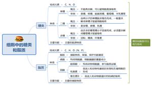 【知识解析】细胞中的糖类和脂质-小结