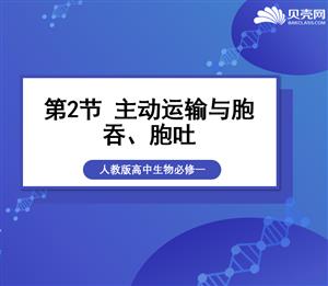 《主动运输与胞吞、胞吐》探究课件