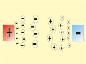 电泳-电荷的移动