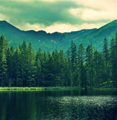 《大自然的声音》写作背景音乐