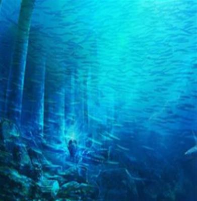 电影《海底两万里》剧情简介