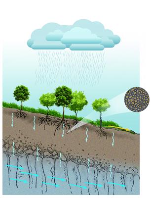 【精】图5-18 土壤与其他自然地理要素的关系示意