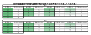 乒乓球对推评分标准