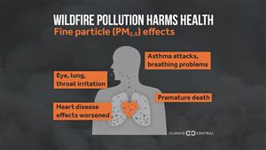 pollution harms health