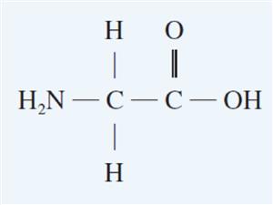 甘氨酸