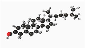 胆固醇分子结构模型