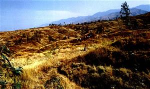 元谋人牙齿化石出土地点近景
