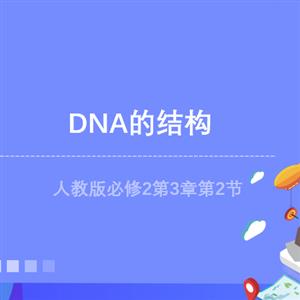 《DNA的结构》精创课件