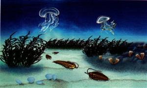 寒武纪的海洋生物类群想象图1