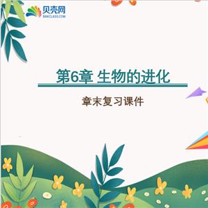 《第6章 生物的进化》章末复习课件