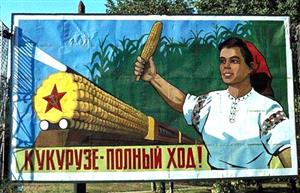 反映赫鲁晓夫农业改革政策的玉米运动宣传海报