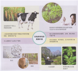 生物多样性的直接价值