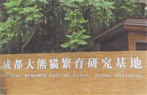 大熊猫繁育研究基地
