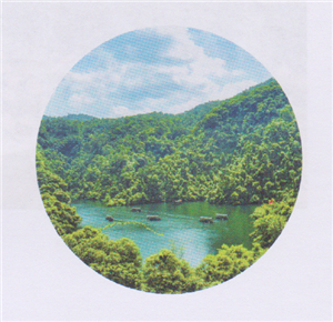 鼎湖山自然保护区