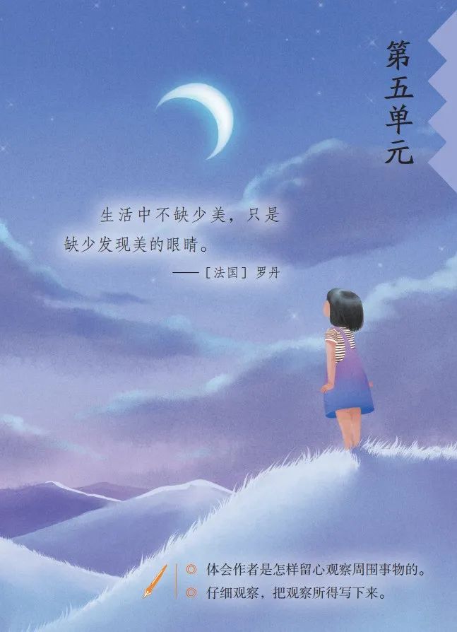 bbb_05_063 语文 三年级上册(人教部编版)