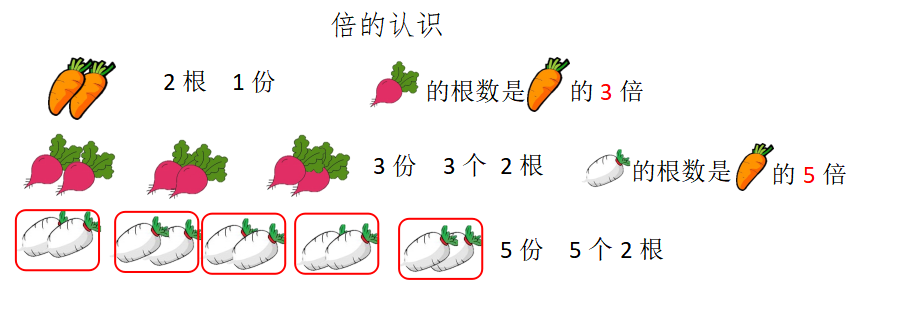 倍的认识