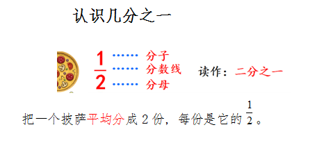 认识几分之一