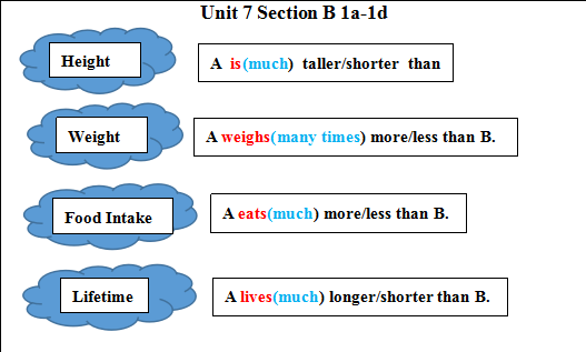 Section B 1a-1d