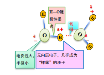 氢键